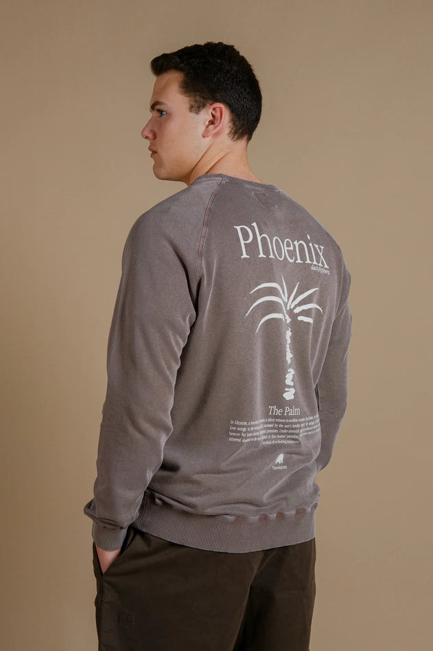 Men's Washingtonia Midweight Pigment Sweater Desert Palm