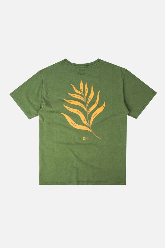 Men's Confitera Pigment T-Shirt Pinnas Green