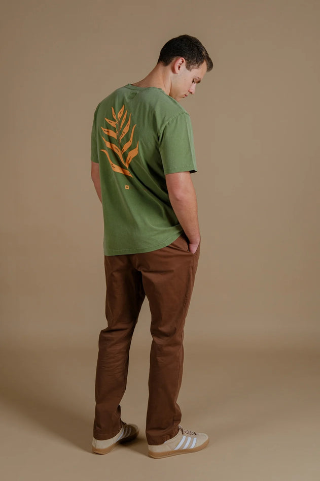 Men's Confitera Pigment T-Shirt Pinnas Green