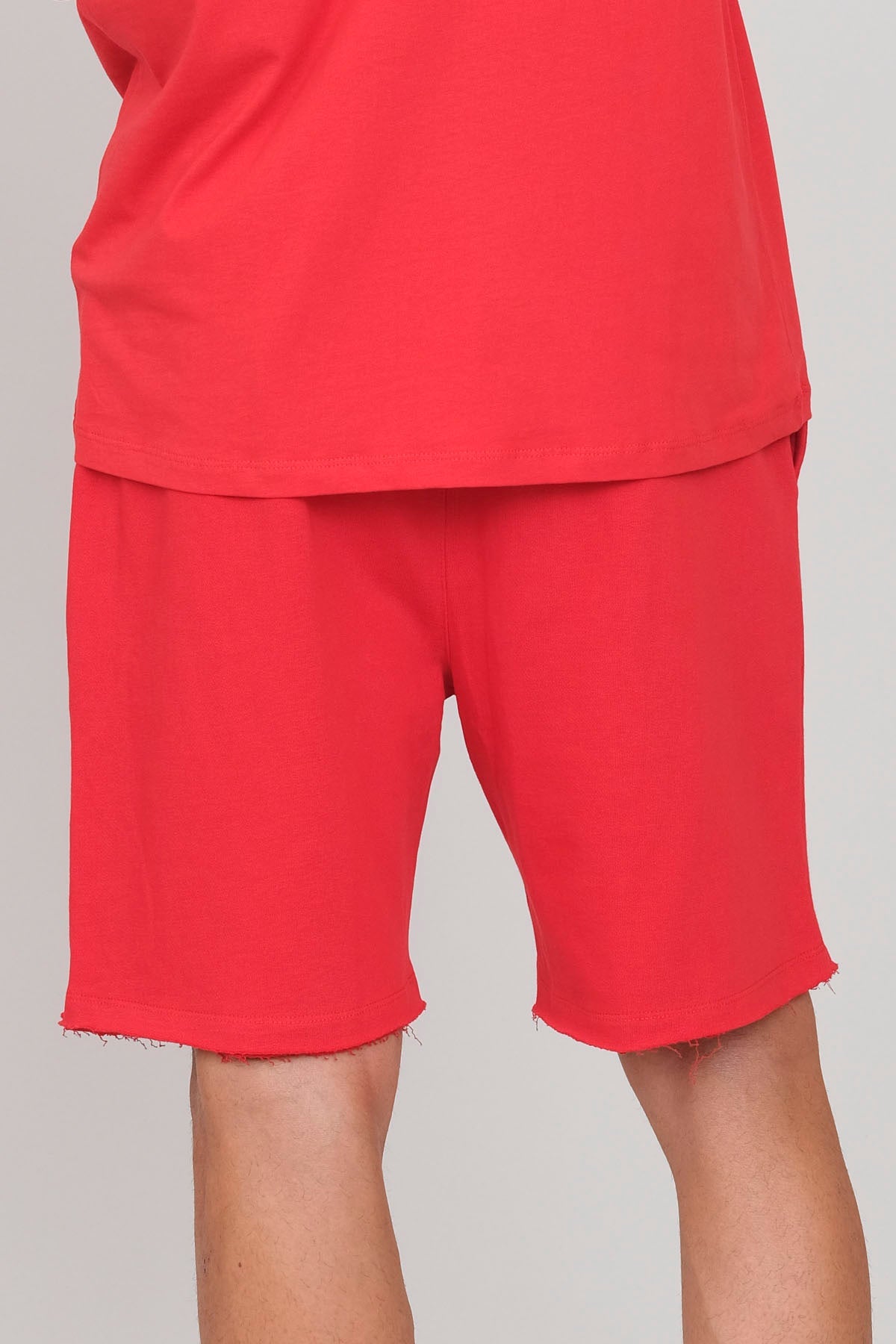 Men's Plush Shorts Apple Green