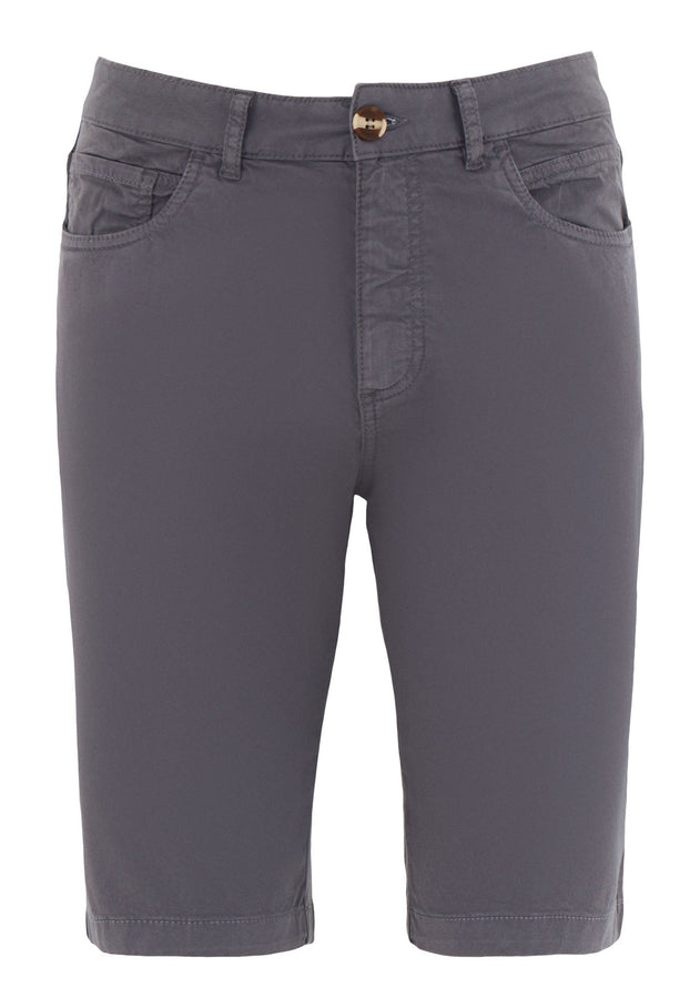 Men's Regular Fit Organic Cotton Shorts Asphalt