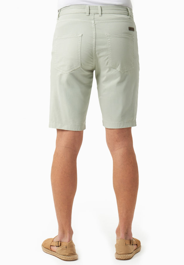 Men's Regular Fit Organic Cotton Shorts Green Moss