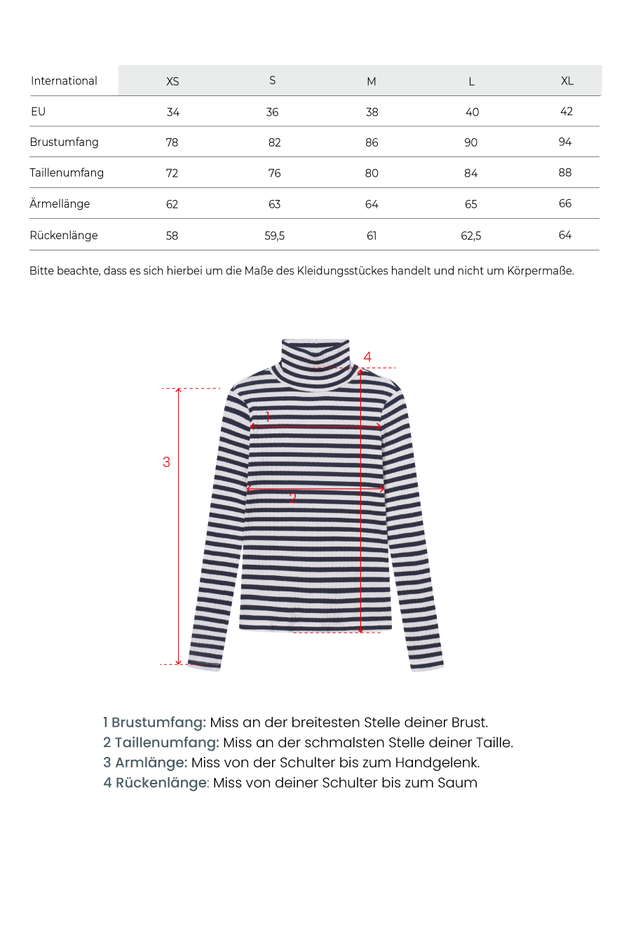 Striped Longsleeve Turtleneck Navy/White