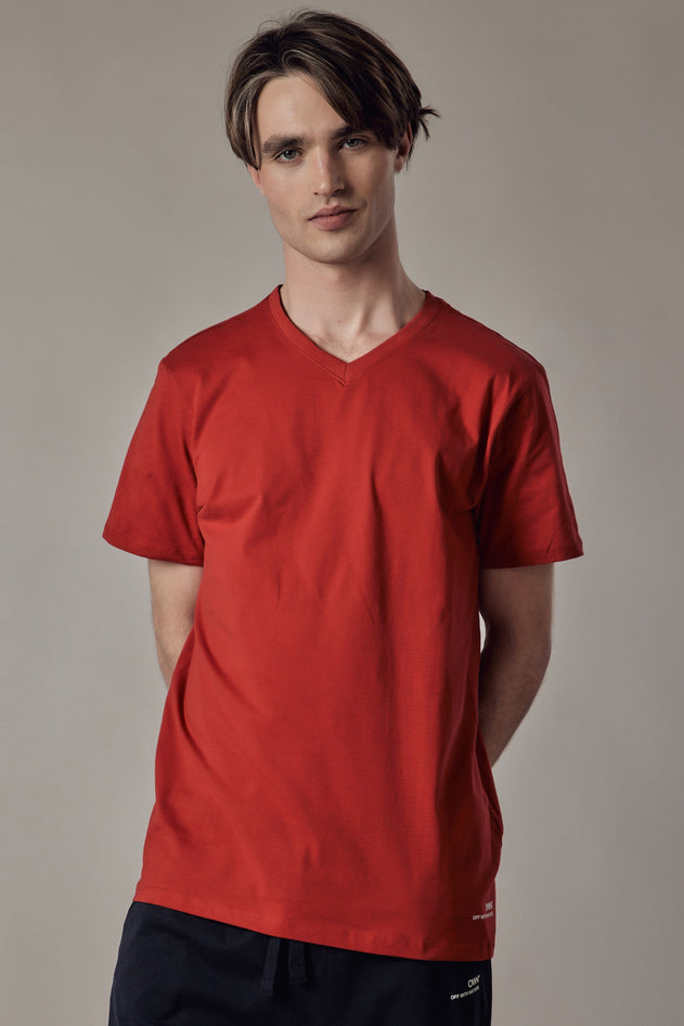 Men's Stretch V-Neck T-Shirt
