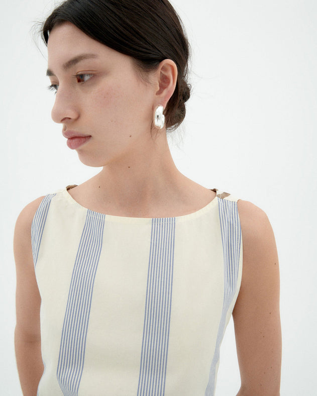 Cecile Poplin Dress Blue/Brown Stripes