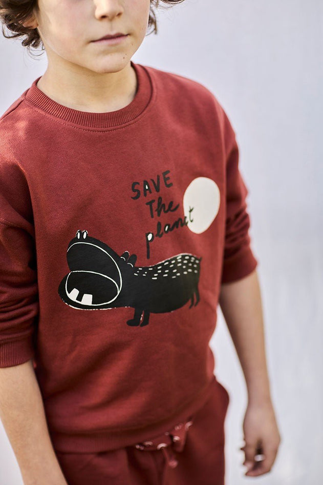Kids' Unisex Sweatshirt Ecological Hippopotamus Red