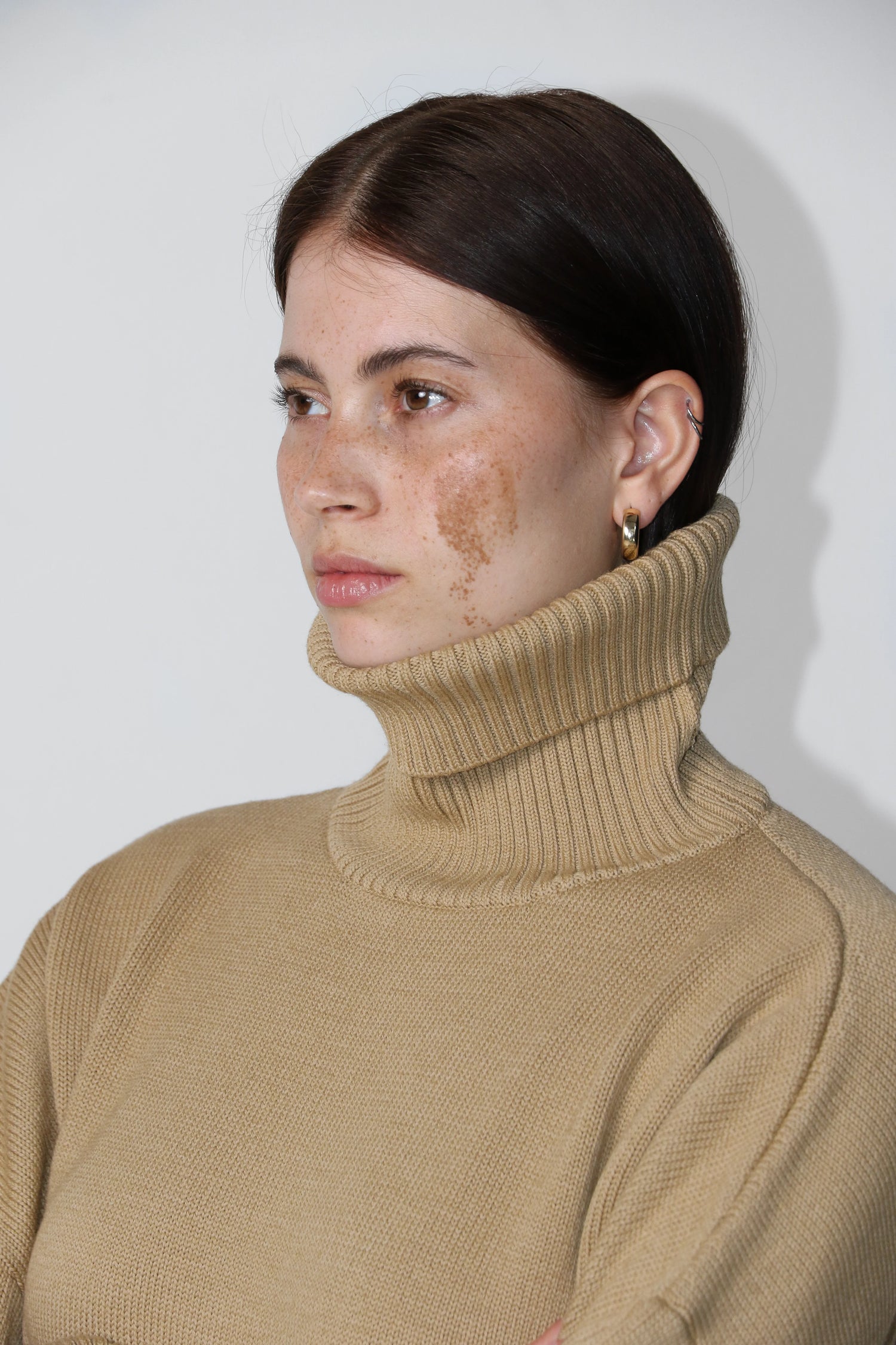 Heavy Roll Neck Camel