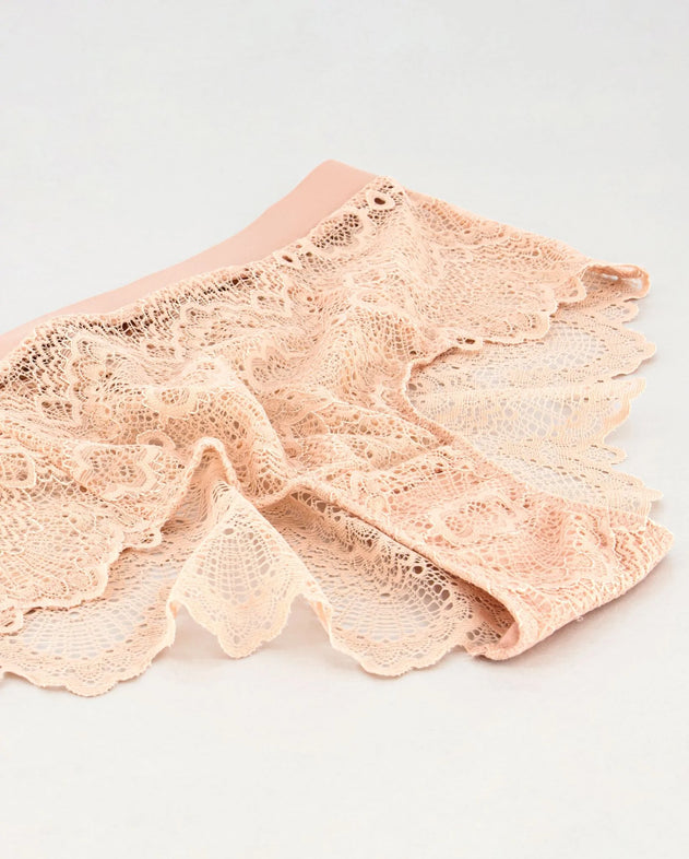 Lace Highwaist Briefs Naked