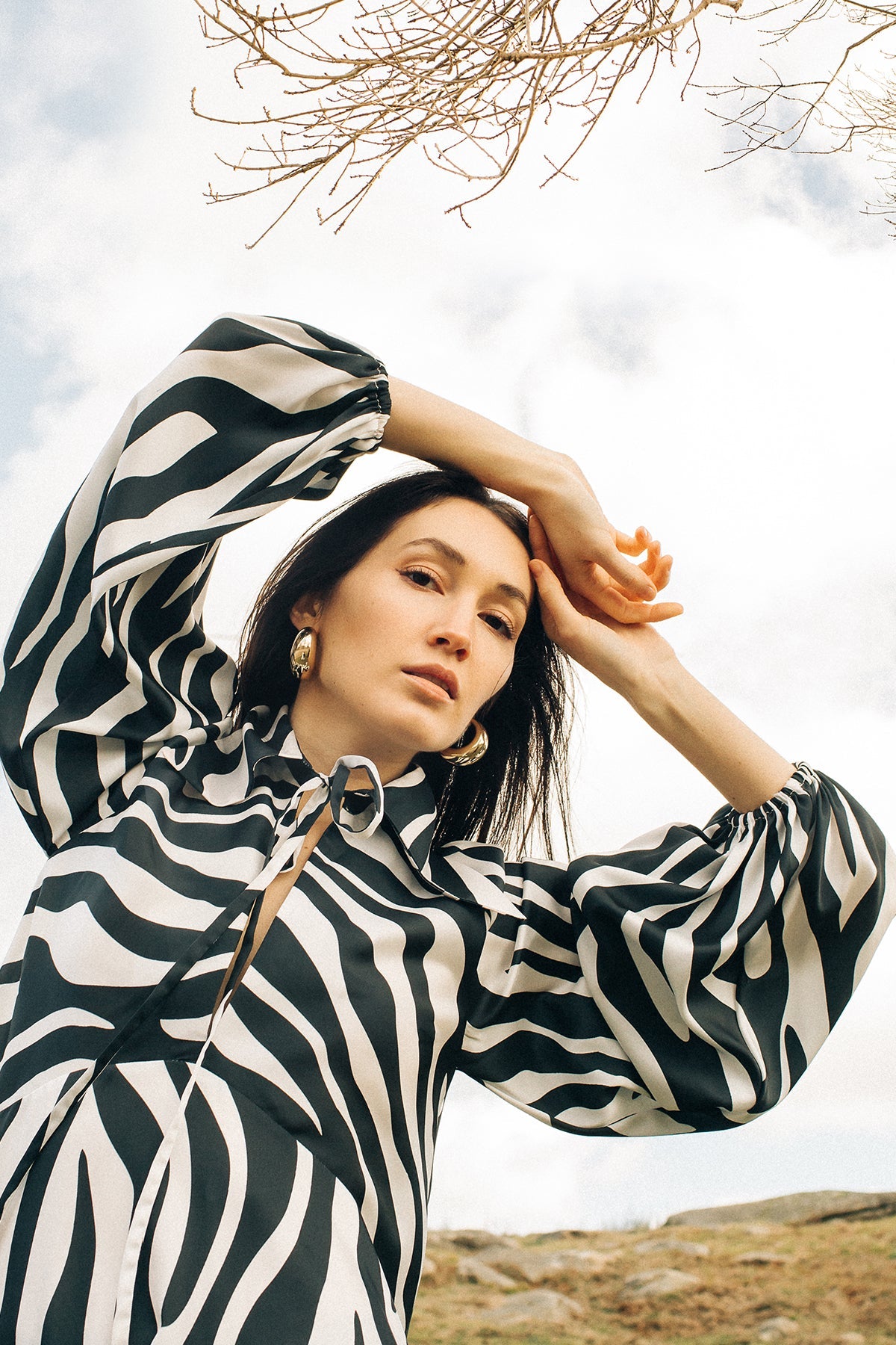 Glaze Zebra Printed Blouse