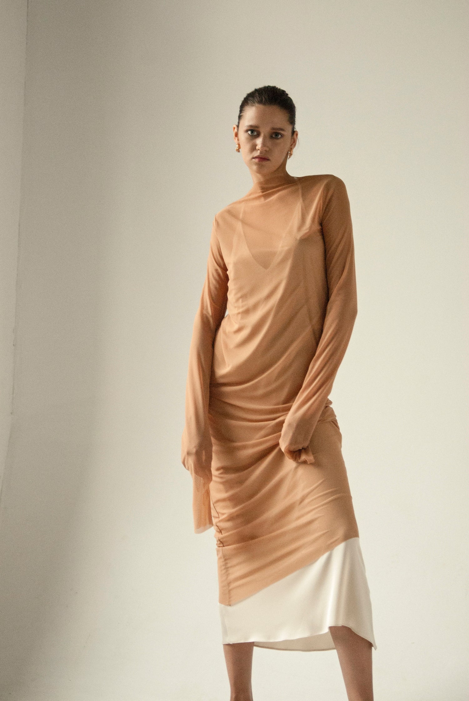 Endless Sleeves Nude Tulle Dress