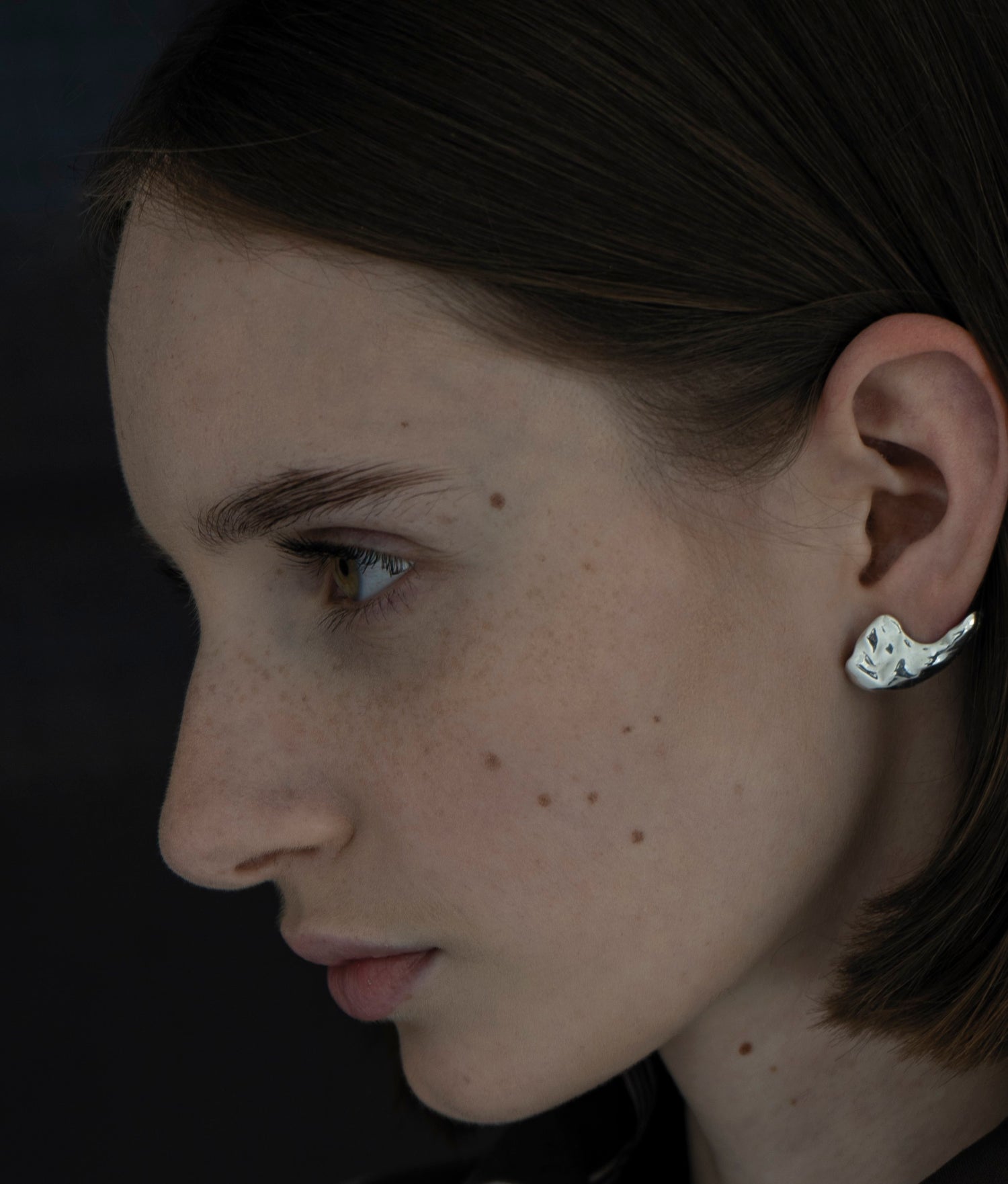 Vice Versa Silver Earrings