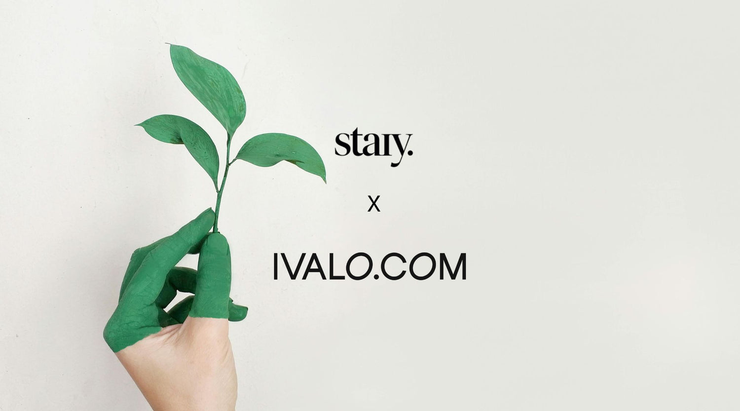 Staiy is now part of IVALO.COM