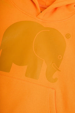 Kid's Organic Classic Hoodie Honey