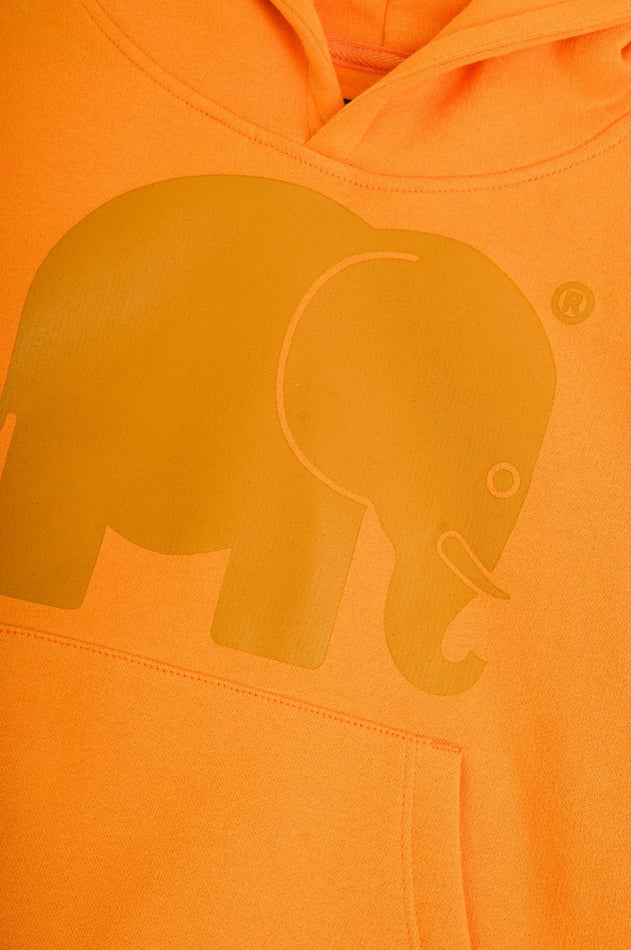 Kid's Organic Classic Hoodie Honey