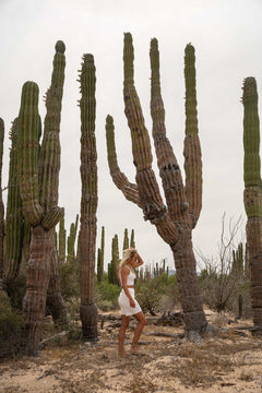 Terra Ribbed Shorts Navy