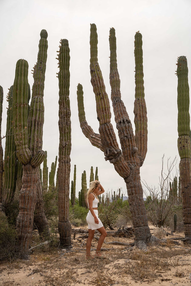 Terra Ribbed Shorts Navy
