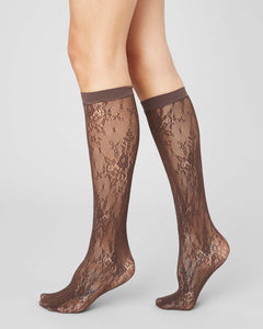 Rosa Lace Knee-Highs Dark Brown