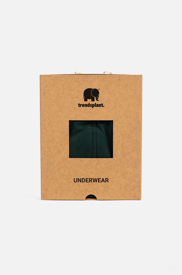 Organic Essential Boxer Briefs Green