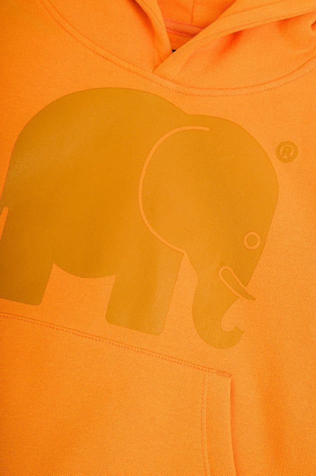 Kid's Organic Classic Hoodie Honey