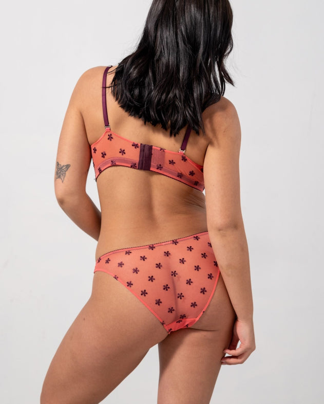 Mesh Bikini Briefs Coral/Cherry