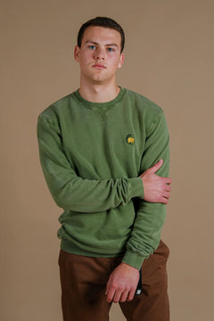 Men's Palmeral Pigment Midweight Sweater Pinnas Green