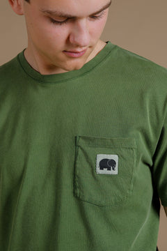 Men's Phoenix Pigment T-Shirt Pinnas Green