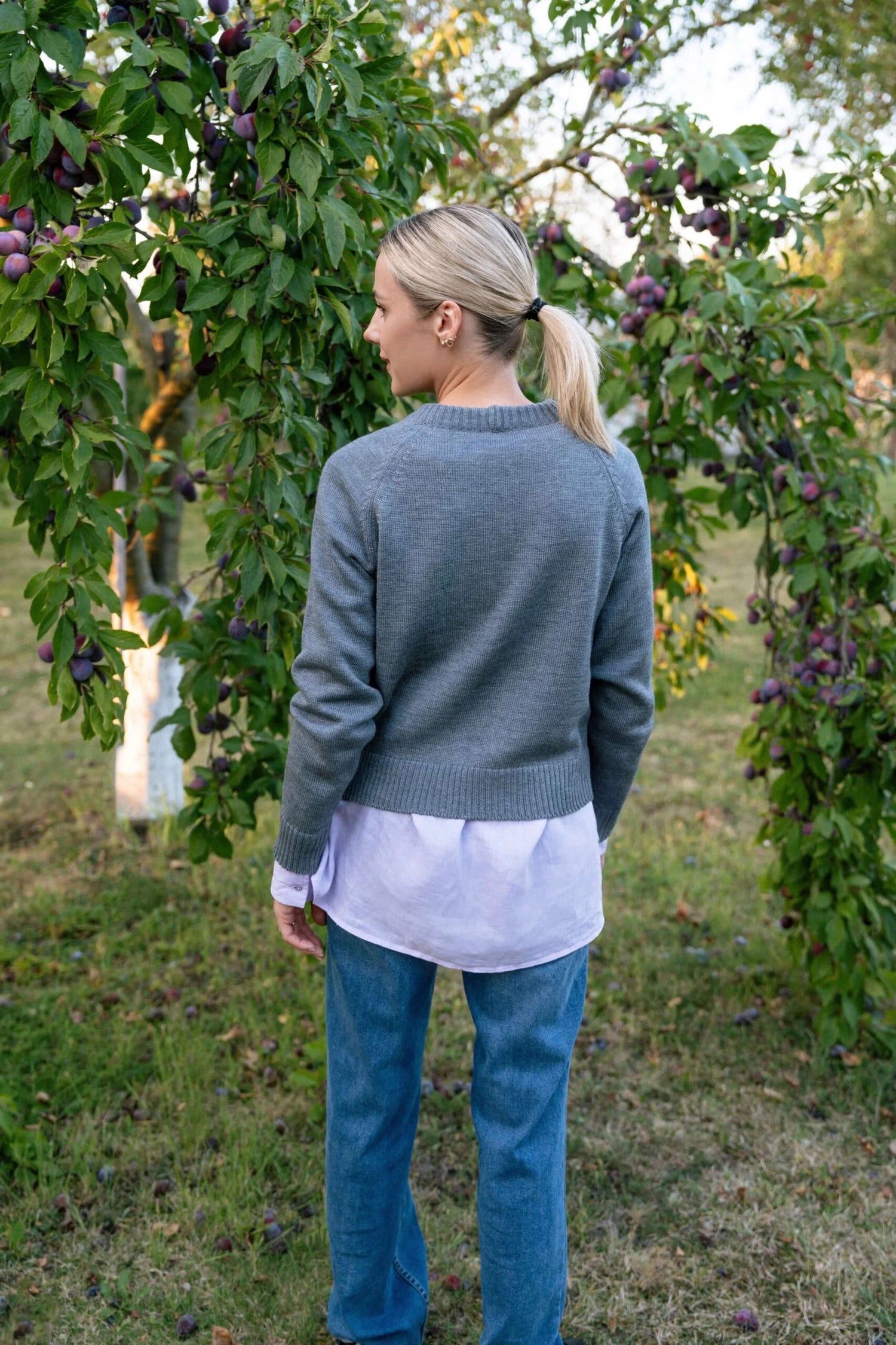 Monala grey merino crew neck sweater, back view