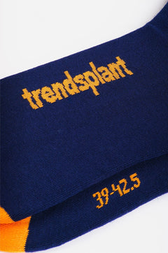 295109733.jpg