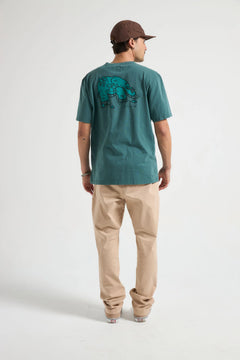 295109879.webp