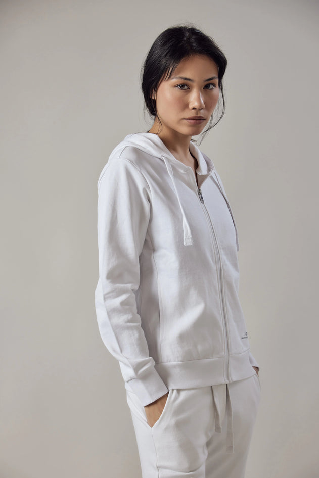 296500205.webp
