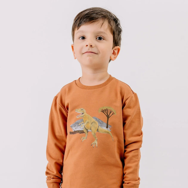 Child wearing an orange sweatshirt with a dinosaur graphic on a plain background