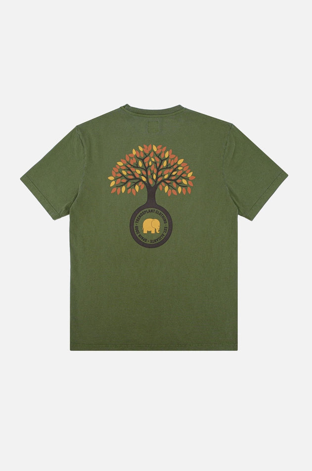 Fafe Pigment T-Shirt Forest Green