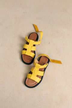 310057025.webp
