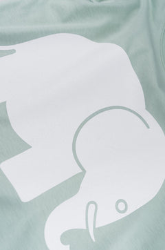 Kids' Organic Classic T-Shirt Mint Green