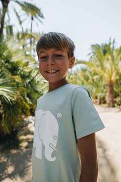 Kids' Organic Classic T-Shirt Mint Green