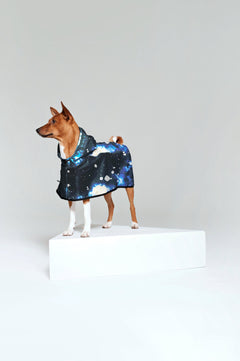 Dog Rain Poncho Starry Night
