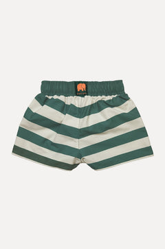 Kids' Owari Swim Shorts Striped Green