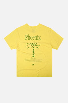 Men's Phoenix Pigment T-Shirt Date Yellow