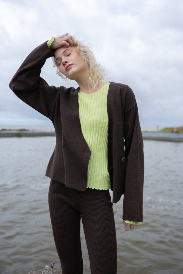 Brera Merino Long-Sleeve Top Limone