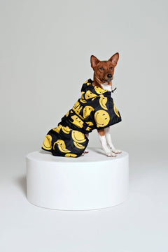 Dog Rain Poncho All Smiles x Smiley