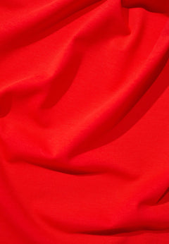 LILLYredhot-7_0031_cf7c5099-2856-44b8-9d16-7885f69f0f95.jpg?v=1759760722