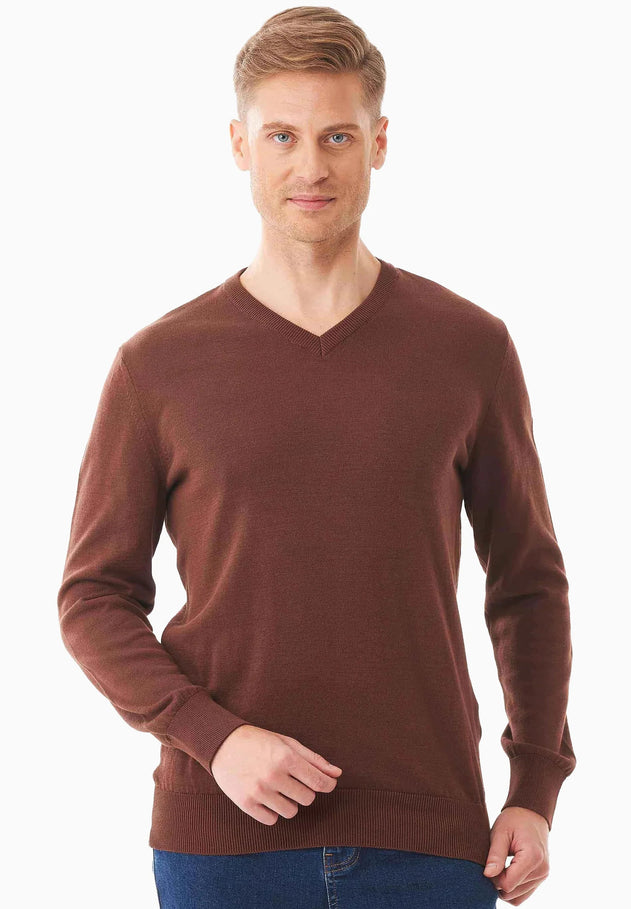 Men's V-Neck Organic Cotton Sweater Radical Brown