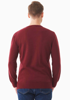 Men's V-Neck Organic Cotton Sweater Syrah Red