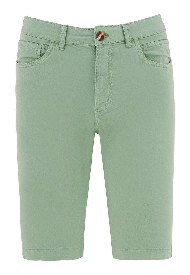 Men's Regular Fit Organic Cotton Shorts Matcha Green
