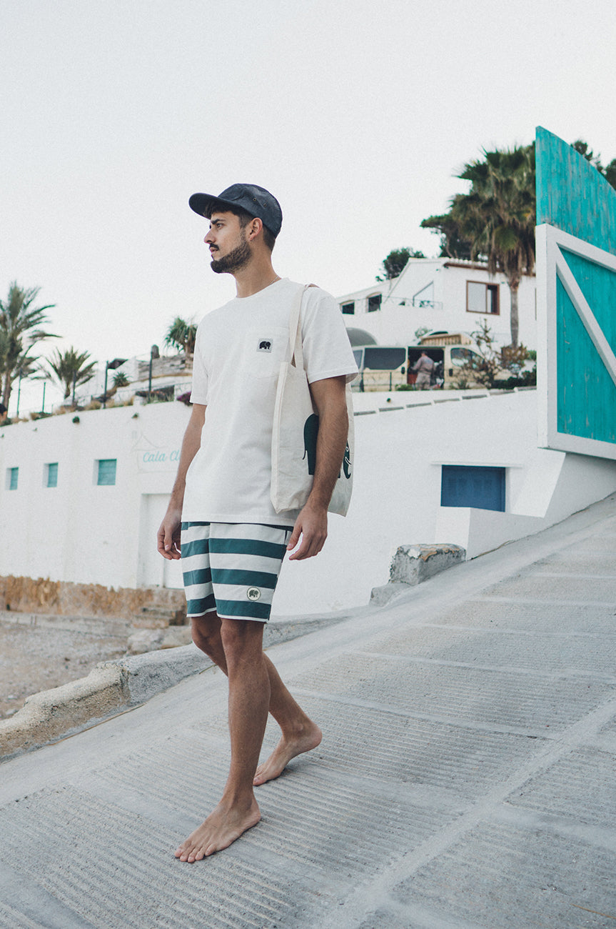 Owari Swim Shorts Striped Green