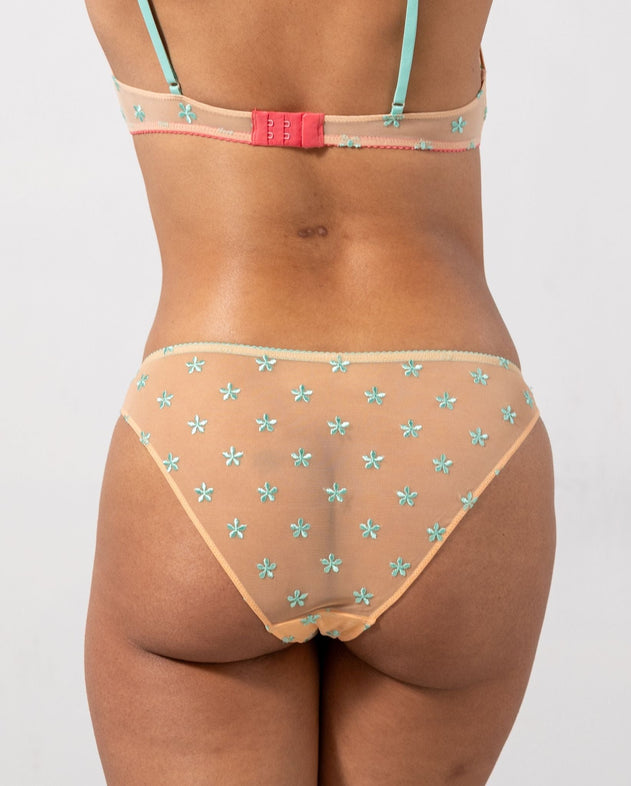 Mesh Bikini Briefs Peach Turquoise