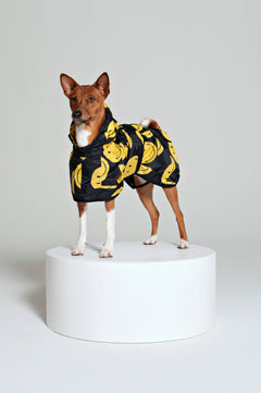 Dog Rain Poncho All Smiles x Smiley