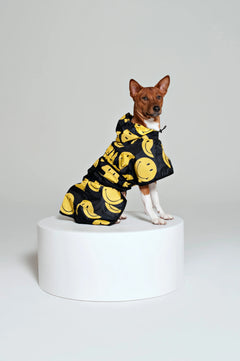 Dog Rain Poncho All Smiles x Smiley