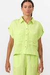 APPLE GREEN