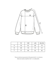 Extremely Rare Sweatshirt Blue